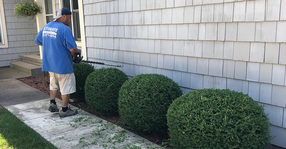 Need Landscape Maintenance Services? We Can Help! Ultimate Lawn Services